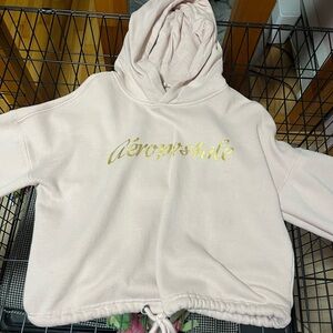 Aeropostale Women's Light Pink Hoodie with Gold Logo